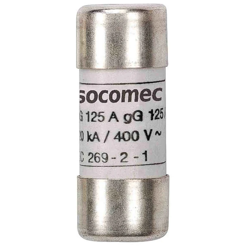 Socomec Industrial Cartridge Fuse 500mA 500V AC 10 x 38 mm 60120000