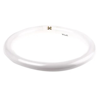 Osram 32 W Circular Fluorescent Tube Cool White 4000k, 2400 lm, 299 mm, G10Q 0001964