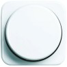 Busch Jaeger - ABB White Thermoplastic Light Switch Cover 54mm x 54mm x 21mm 2115-214