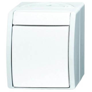 Busch Jaeger - ABB Light Switch 2 Way Retractive Switch 1 Gang 10A 25V IP44 2601/6 W-54