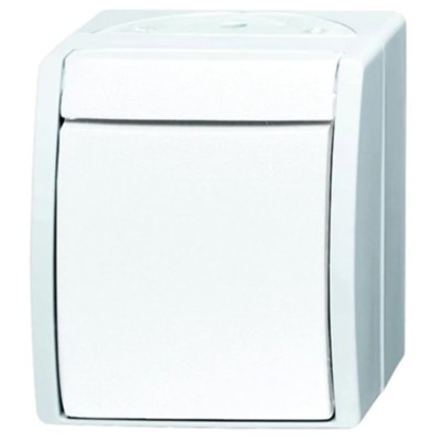 Busch Jaeger - ABB Light Switch 2 Way Retractive Switch 1 Gang 10A 25V IP44 2601/6 W-54