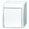 Busch Jaeger - ABB Light Switch 2 Way Retractive Switch 1 Gang 10A 25V IP44 2601/6 W-54
