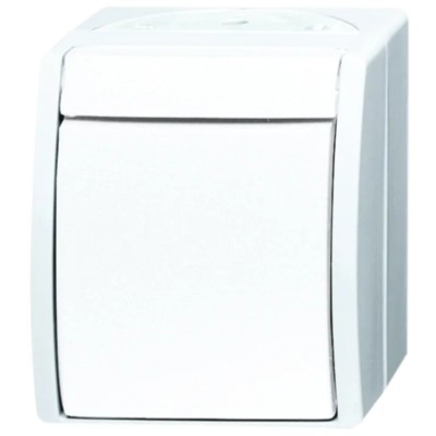 Busch Jaeger - ABB 1 Way Retractive Light Switch, 1 Gang, 10A, 25V, Surface Mount 2621 W-54