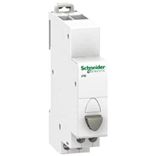 Schneider Electric 250V AC DIN Rail Push Button Circuit Trip A9E18030