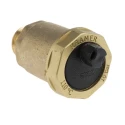 Reliance Water Controls Brass Automatic Air Vent 1/2 in AVEN100005