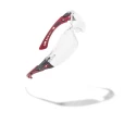 Bolle Safety RUSH+ Safety Glasses with Anti-Scratch and Anti-Fog Coating, Clear Polycarbonate Lens, Grey and Black RUSHPPSI
