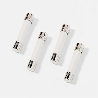 Wickmann 1A T Ceramic Cartridge Fuse 440V AC Time Delay 6.3 x 32 mm 35611000029