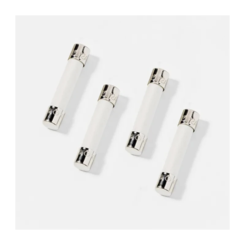 Wickmann 1A T Ceramic Cartridge Fuse 440V AC Time Delay 6.3 x 32 mm 35611000029