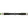 Murrelektronik Limited Male 3 Way Straight to Female 3 Way Straight Sensor Actuator Cable 2m 7000-88001-6300200