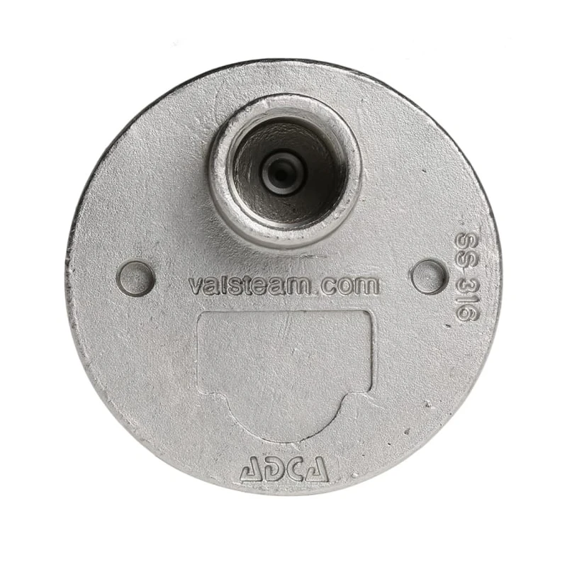 Valsteam ADCA Stainless Steel Air Vent 1/2 in Threaded Connection Automatic Air Eliminator AE16SS12