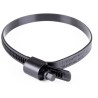 Ezyclamp Nylon Hex Screw Hose Clamp, 12.7 mm Width, 25 mm to 75 mm ID EZYHEX/005