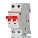 ABB 2-Pole DIN Rail Isolator Switch 40A, IP40/IP20, Screw Terminal, Grey Handle, SD202 Series 2CDD282101R0040 SD202/40