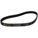 RS PRO Timing Belt 100 Teeth, 800 mm Length, 20 mm Width HTD Rubber Cord Fibreglass 8 mm Pitch 175-5241