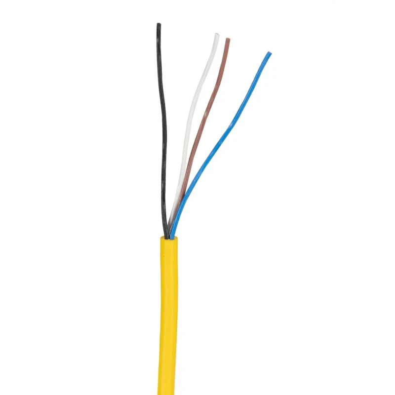 Phoenix Contact Female 4 Way Straight to 4 Way Unterminated Sensor Actuator Cable 5 m 30V SAC-4P- 5.0-542/M8 FS BK 1406239