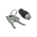 EAO IP65 Rated 2A 2-Way Momentary Key Switch, Round Bezel, Solder Terminals, 
