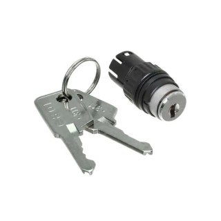 EAO IP65 Rated 2A 2-Way Momentary Key Switch, Round Bezel, Solder Terminals, 