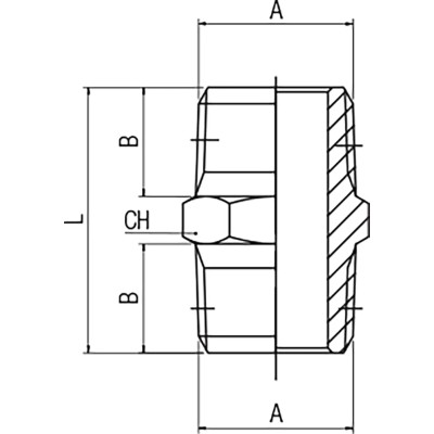 RS PRO Brass Pipe Fitting Straight 1/4 in BSPT Male Threaded Nipple, Male BSPT 1/4 in to Male British Standard 176-0979
