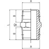 RS PRO Brass Pipe Fitting Straight 1/4 in BSPT Male Threaded Nipple, Male BSPT 1/4 in to Male British Standard 176-0979