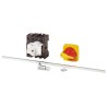 Eaton 3-Pole Panel Mount Isolator Switch IP65, 260A, 15 kW, Red Handle P1-32/M4/K1-PR/N