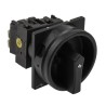 Eaton 2-Pole Flush Isolator Switch 20A, 5.5 kW, IP65, T0-1 Series