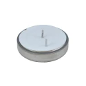 Tadiran Lithium Thionyl Chloride Button Battery CR2450, 3.6 V, 550 mAh, 24 mm Diameter 