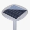 Solar Plaza LED Lights