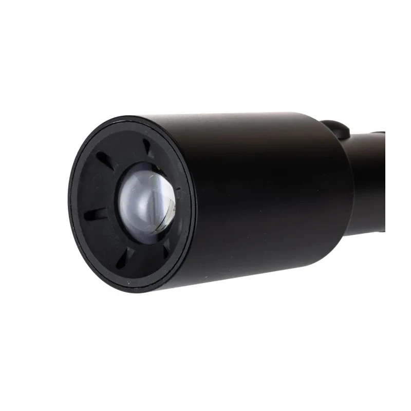 Ansmann High-Performance LED Torch Black 320 lm Luminous Flux Aluminium Housing 234 mm 1600-0059-520