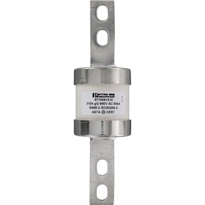Mersen 315A Bolted Tag Fuse C1 690V AC Central Bolted Tag Fuse-links gM Series R1006633 / BTM69V315