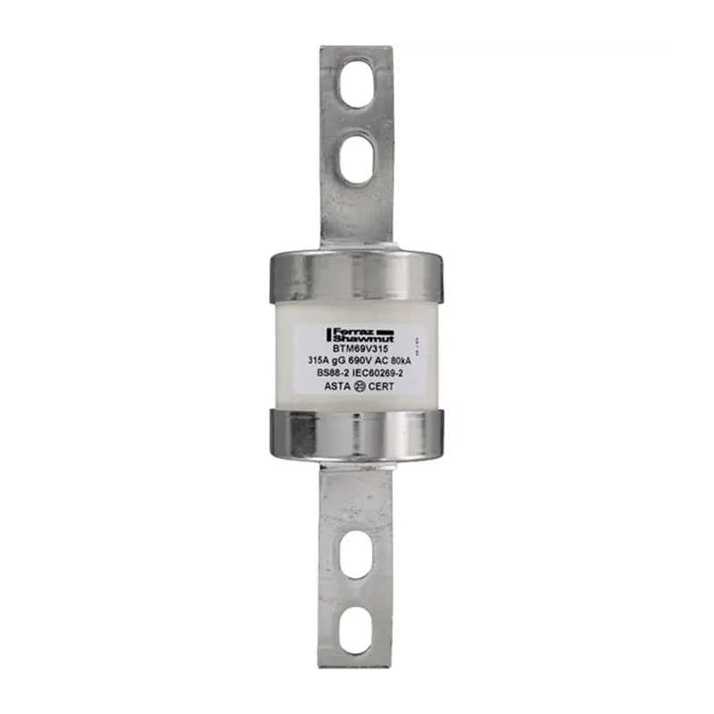 Mersen 315A Bolted Tag Fuse C1 690V AC Central Bolted Tag Fuse-links gM Series R1006633 / BTM69V315