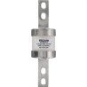 Mersen 315A Bolted Tag Fuse C1 690V AC Central Bolted Tag Fuse-links gM Series R1006633 / BTM69V315
