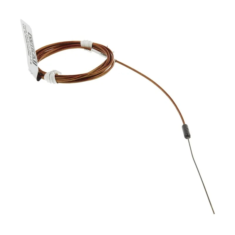 Omron Temperature Sensor with J Type Thermocouple, 0 °C to 760 °C Max, Series E52 E52-ETJ1-100-2-P-B