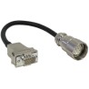 Baumer Female 12 way M23 to Male 9 way D-Sub Sensor Actuator Cable 200 mm 11119257