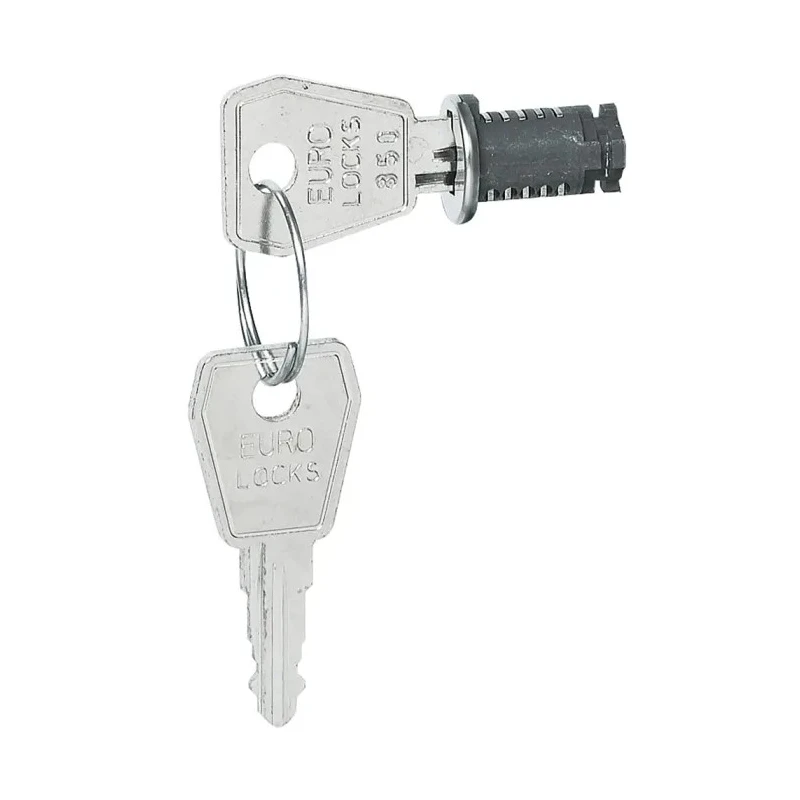 Legrand Shock-Resistant Polystyrene Material Keyed Lock IP65 Poland 0 019 66
