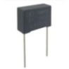 Metallized Polyester Film Capacitor HMKP21
