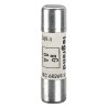 Legrand 8A Ceramic Cartridge Fuse 10 x 38 mm 500V AC 0 133 08