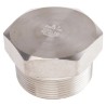 RS PRO Stainless Steel Pipe Fitting Straight Hexagon Male Threaded 2 in 316 826-7046
