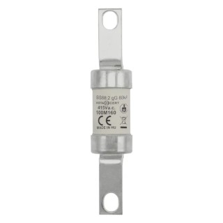 Eaton British Standard Fuse 100A, 415V, High Rupture Capacity, Tag Fuse B1 111 mm CD100M160