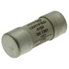 Eaton 20 Amp Ceramic Cartridge Fuse 23 x 57 mm BS 88-3 Standard 415V AC 20KR85