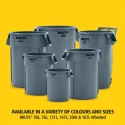 Rubbermaid Commercial Products BRUTE 75.7L Green Polyethylene Waste Bin FG262000DGRN