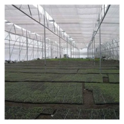 abf-agriculture-greenhouse-service-46921