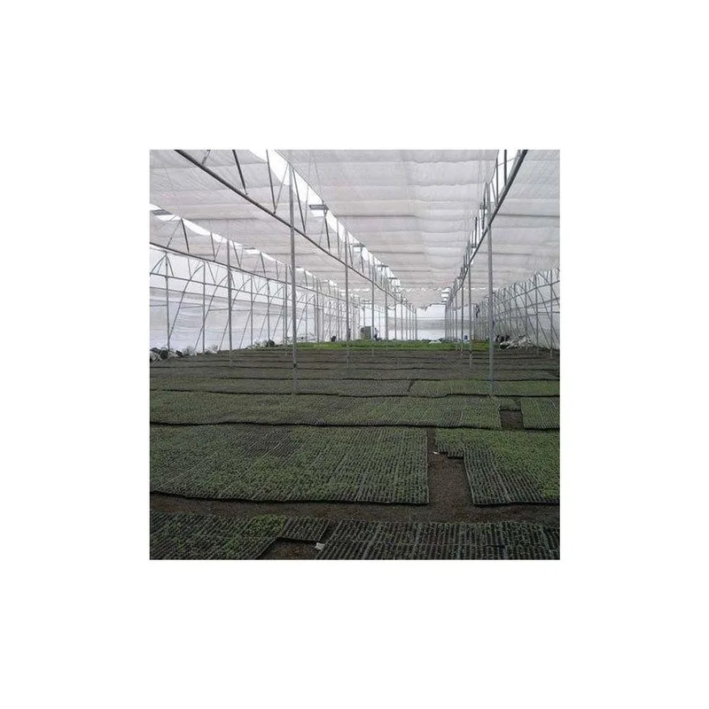 abf-agriculture-greenhouse-service-46921