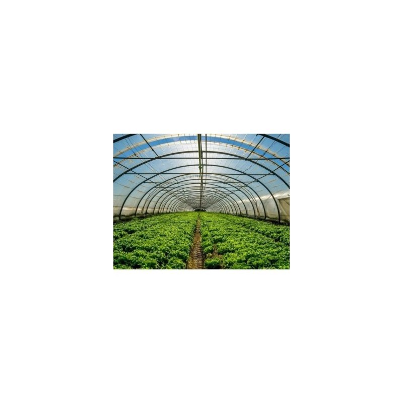 abf-greenhouse-construction-services-46922-4