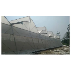 abf-naturally-ventilated-greenhouse-46925