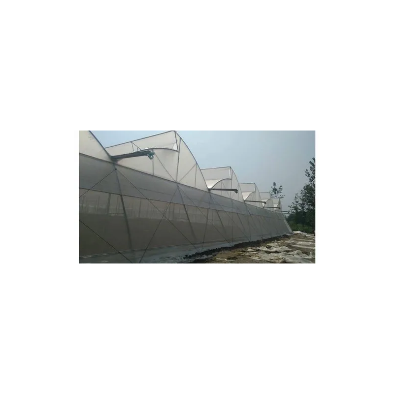 abf-naturally-ventilated-greenhouse-46925