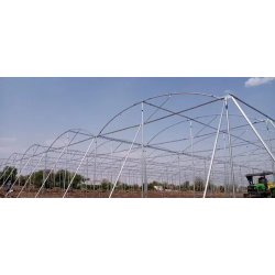 abf-naturally-ventilated-greenhouse-46925-1