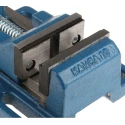 RS PRO Drill Vice Jaw Width 80mm Jaw Opening 80mm Jaw Depth 32mm Screw Mount Type 4.5 kg 829-6133