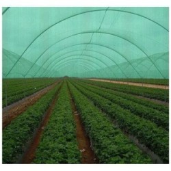 abf-hydroponics-poly-house-46938-2