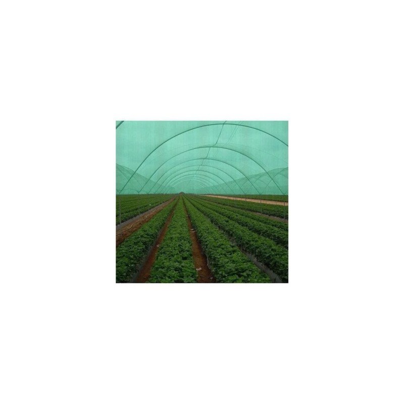 abf-hydroponics-poly-house-46938-2