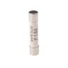 Schurter 1.6A Fast Acting Ceramic Cartridge Fuse 6.3 x 32 mm 500V AC 8020.5070