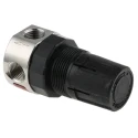 Parker 1/4 in Pneumatic Regulator Stainless Steel Body 20.7 bar 12SCFM Flow PR364G02CSS